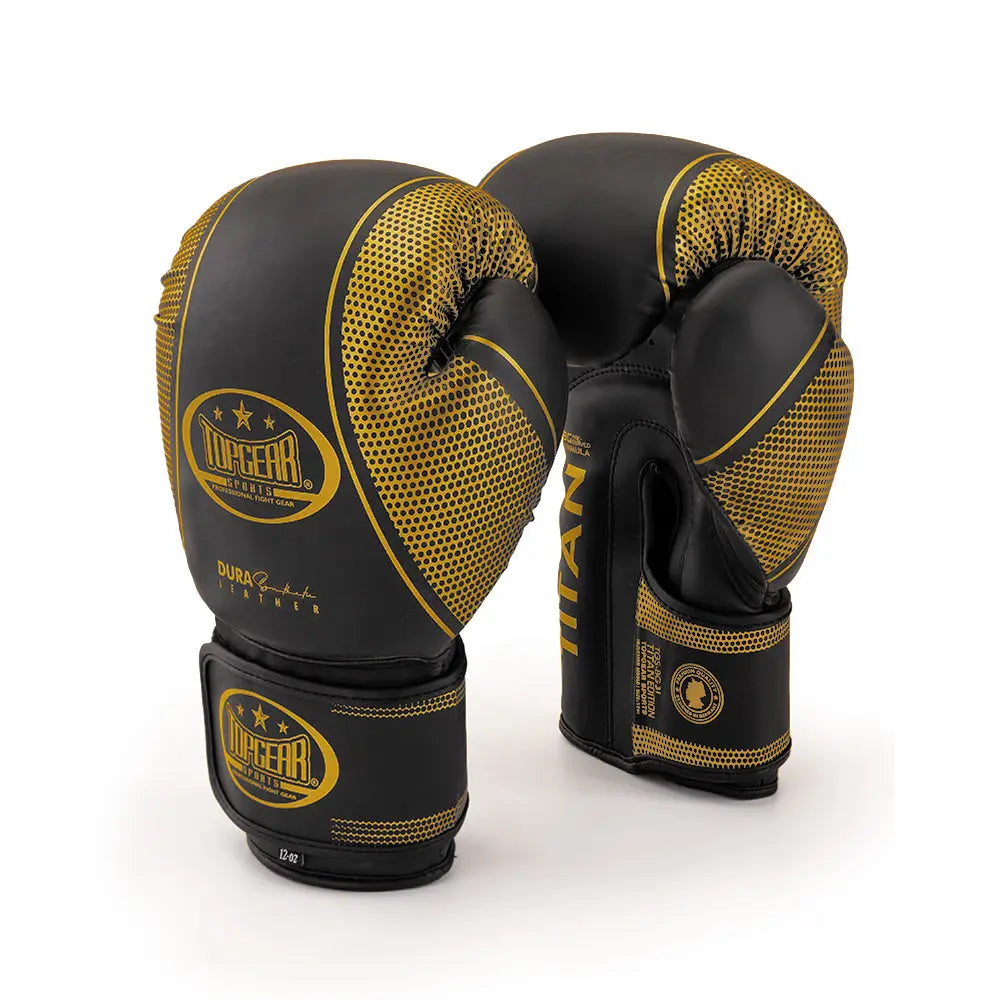 TITAN Edition Boxing Gloves – black and gold pair shown together angled view for boxing training