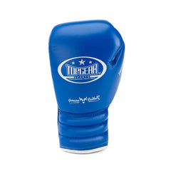 Back view of blue lace-up boxing glove